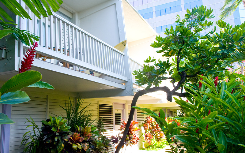 Waikiki Heritage Studio