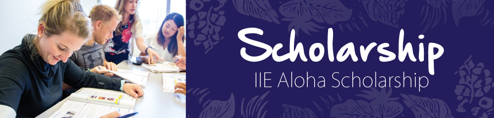 IIE Hawaii Scholarship system